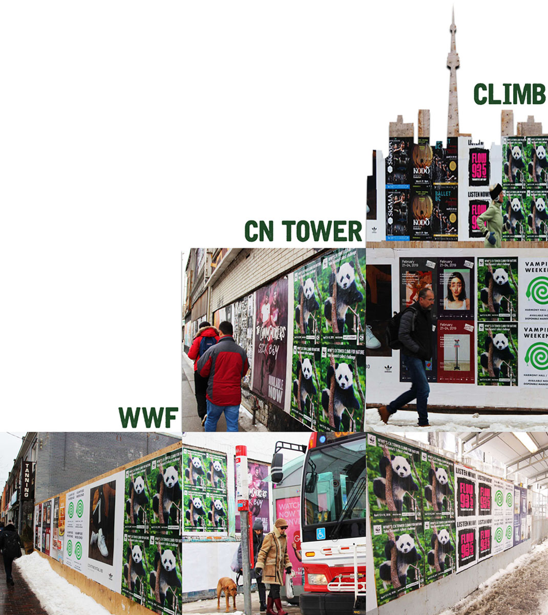 WWF CN Tower Climb Social Media Post