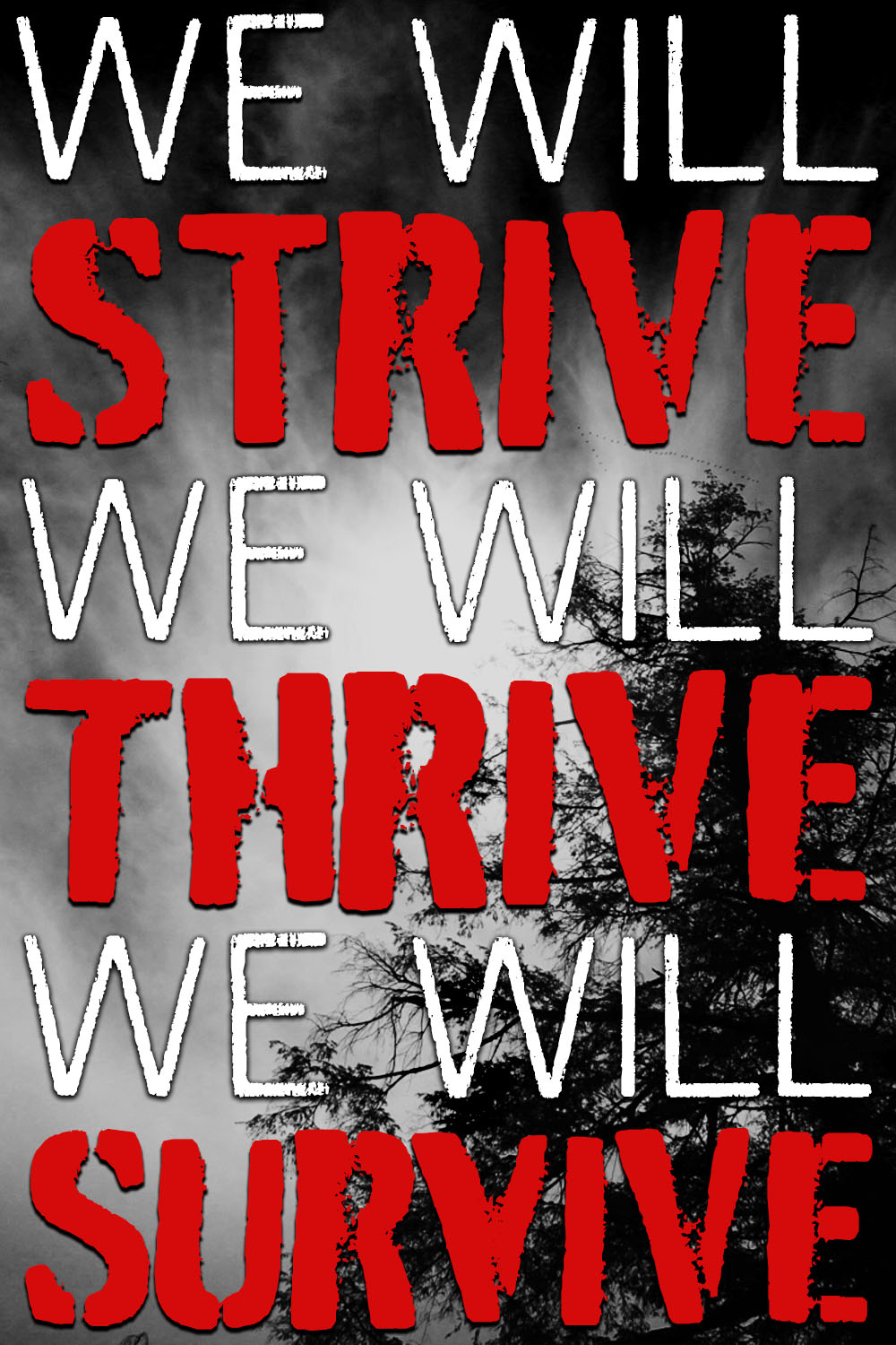 strive thrive survive social media post